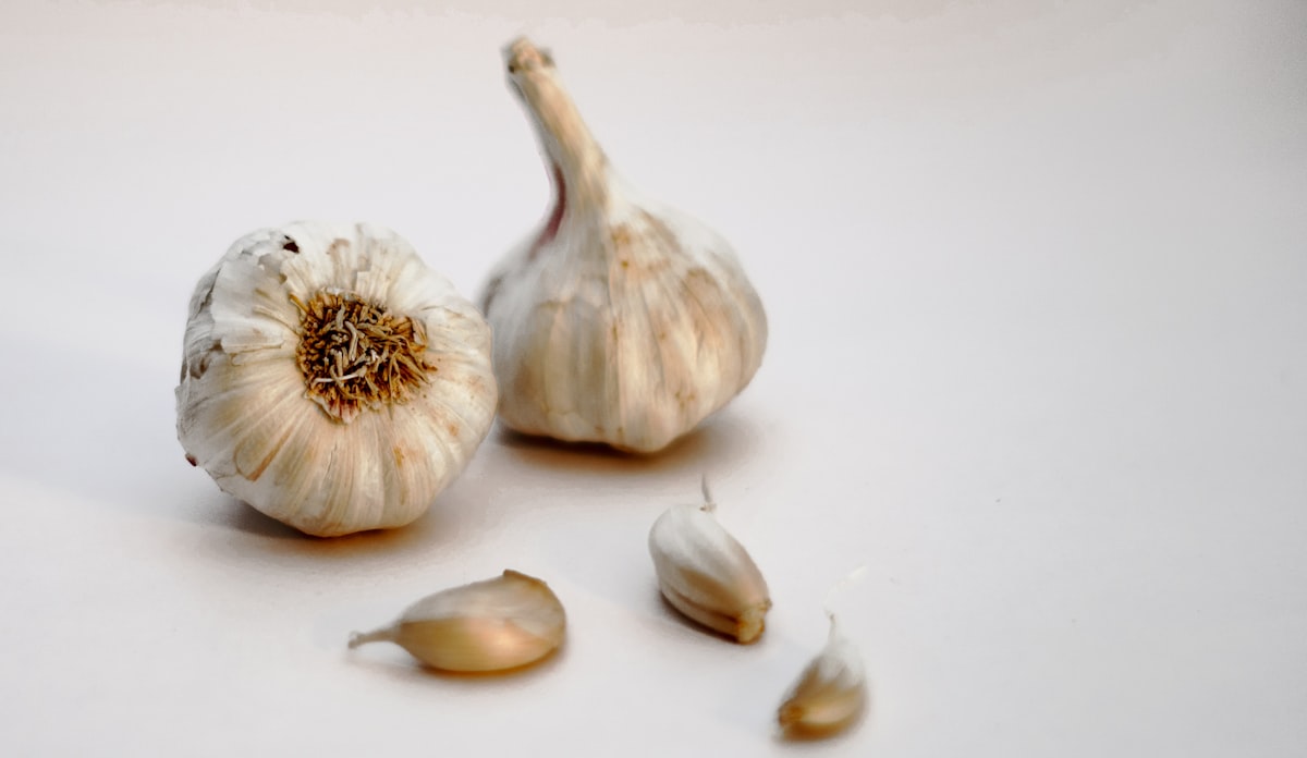 Ricette con aglio