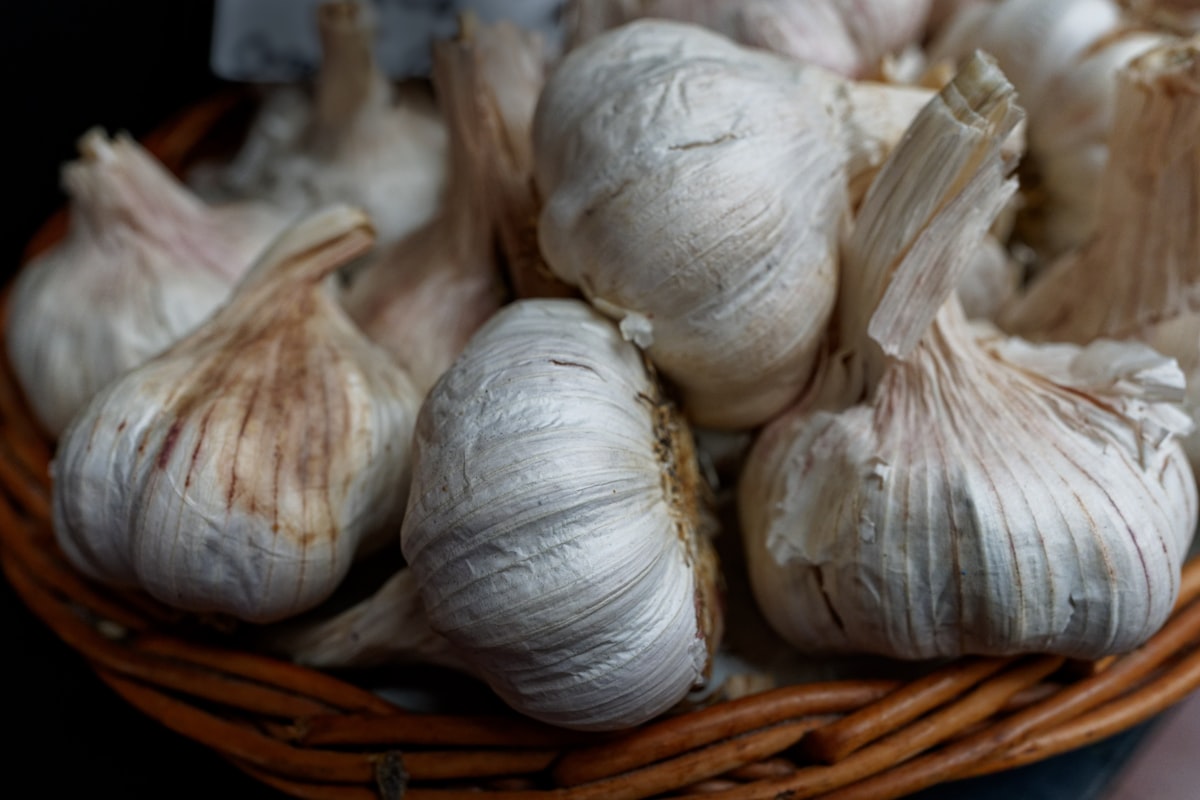 Preparazione dell'aglio fresco